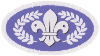 Chief Scouts Silver Award Badge