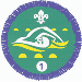 Swimmer Badge